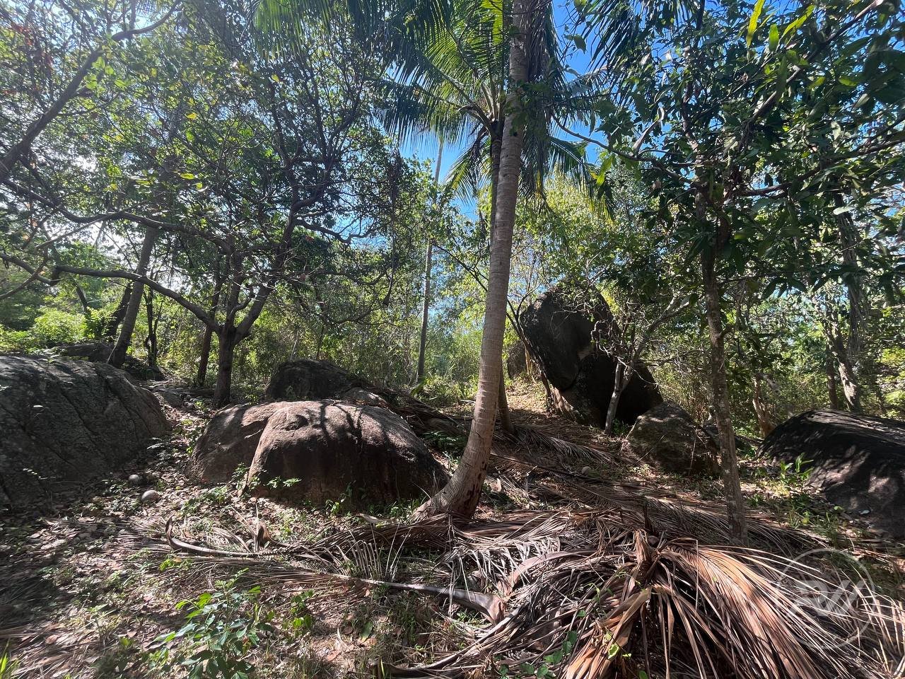 Land plot on Koh Phangan (RW-L0059) — photo 1