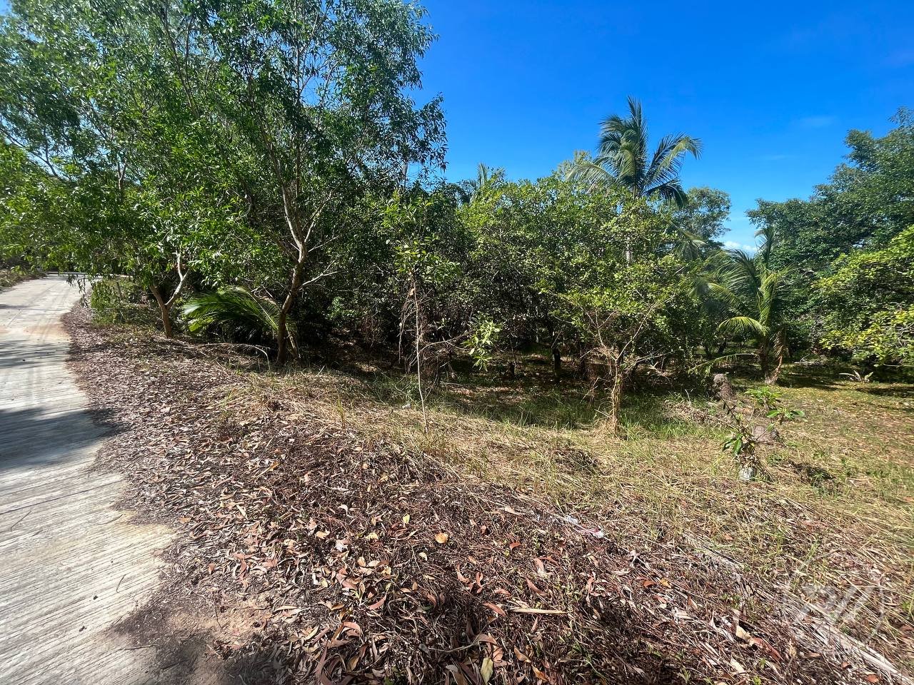 Land plot on Koh Phangan (RW-L0059) — photo 2