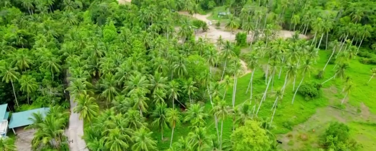 Land plot on Koh Phangan (RW-L0061) — photo 1