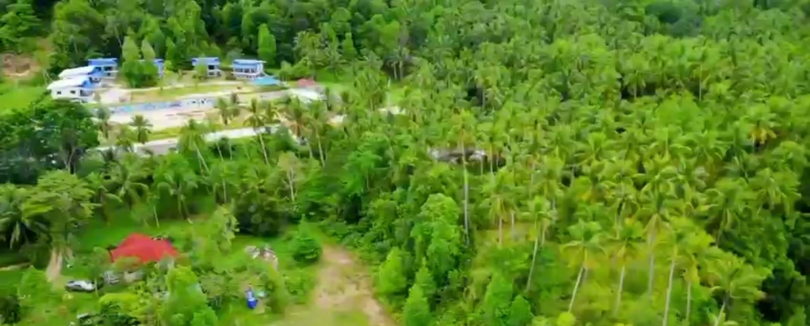 Land plot on Koh Phangan (RW-L0061) — photo 2