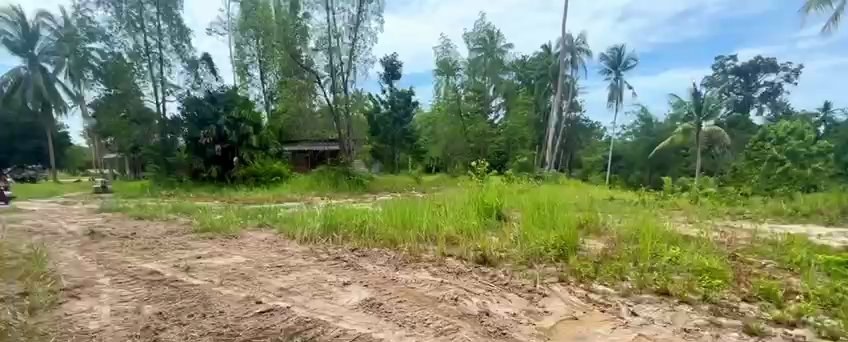 Land plot on Koh Phangan (RW-L0062) — photo 1