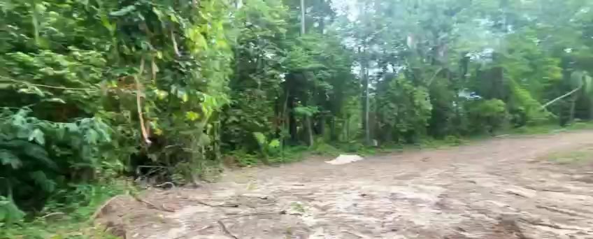 Land plot on Koh Phangan (RW-L0062) — photo 2