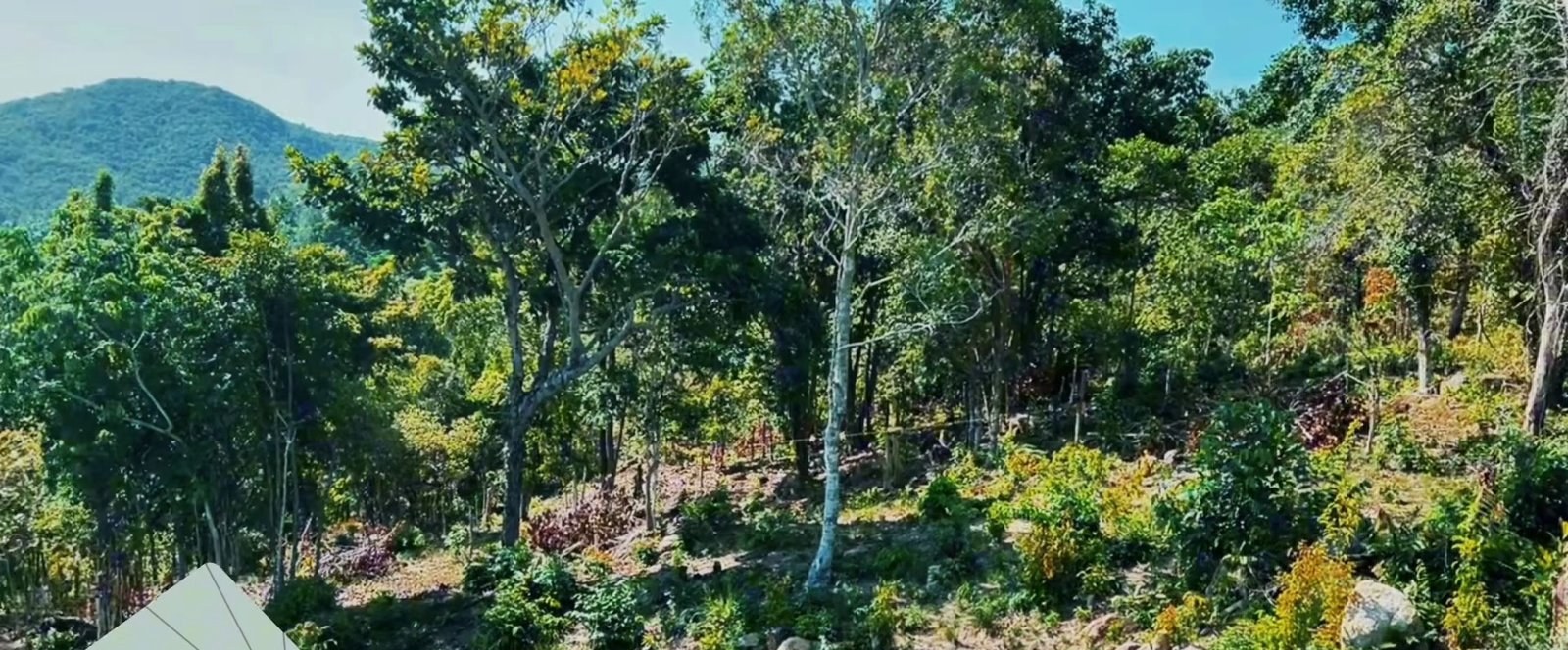 Land plot in Srithanu (RW-L0067) — photo 2