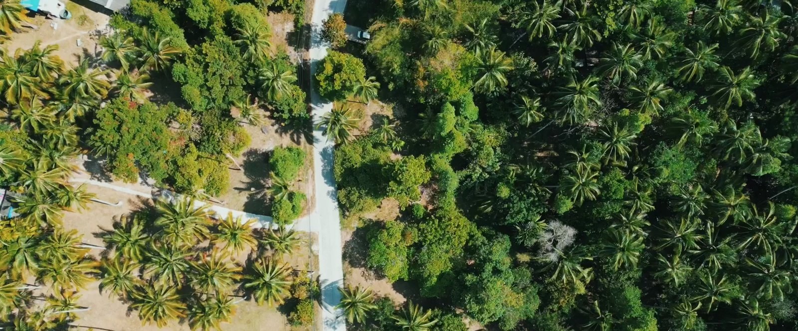 Land plot on Koh Phangan (RW-L0071) — photo 2
