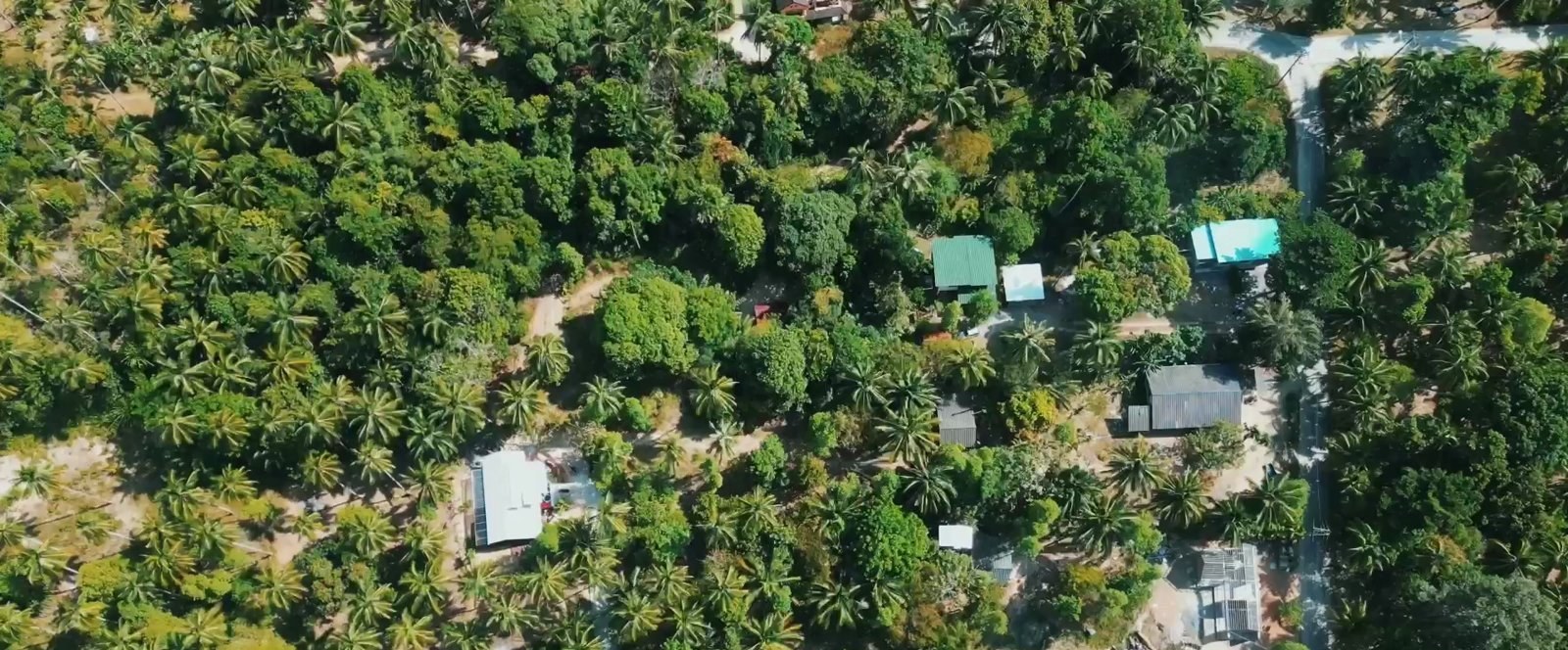 Land plot on Koh Phangan (RW-L0071) — photo 3