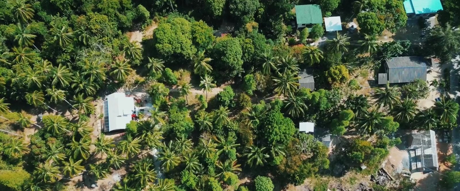 Land plot on Koh Phangan (RW-L0071) — photo 4